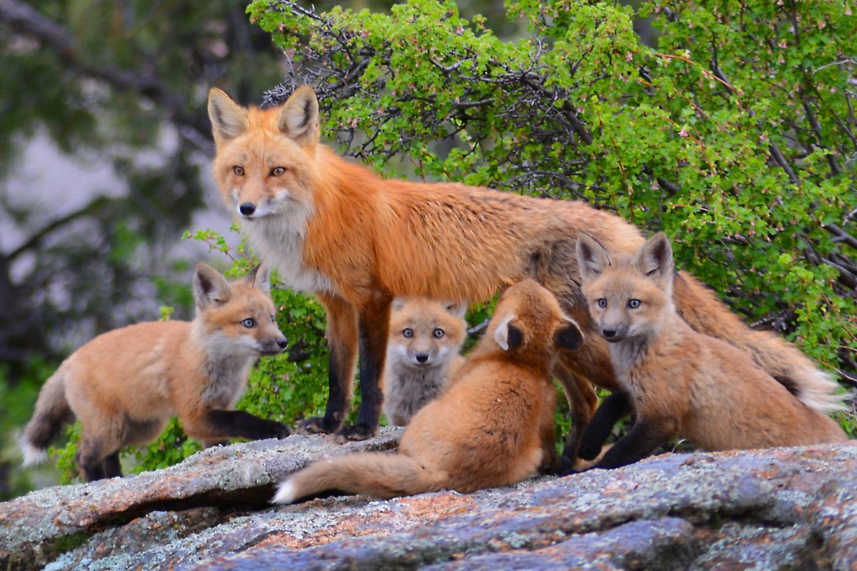 Marys Lake—Top June 2016